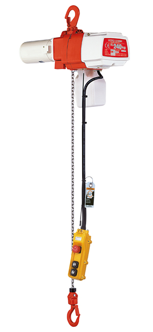 Tipo ED|Portate da 60 kg a 480 kg|Con pulsantiera