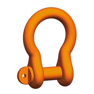 Coupling ring and shackle
